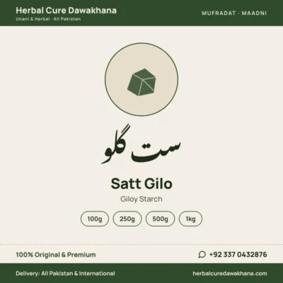 Satt Gilo (Giloy Starch)