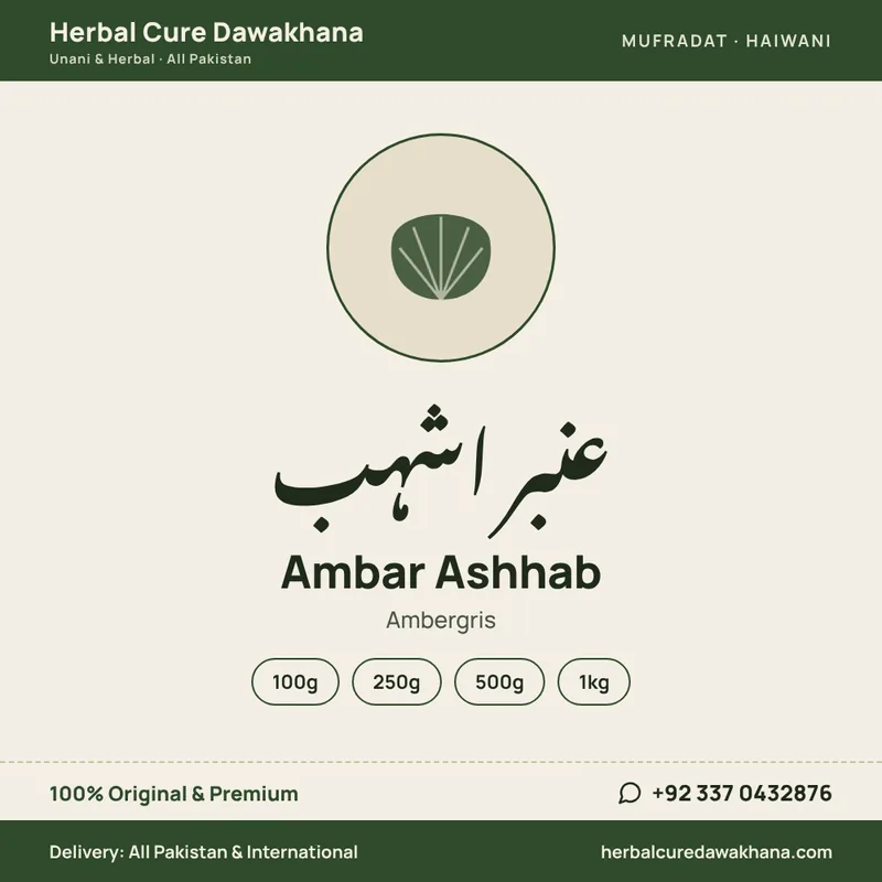 Ambar Ashhab (Ambergris)