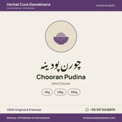Chooran Pudina (Mint Churan)