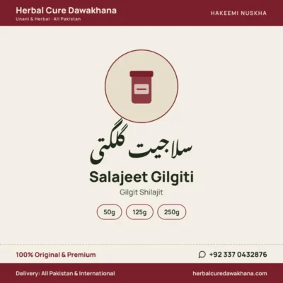 Salajeet Gilgiti (Gilgit Shilajit)