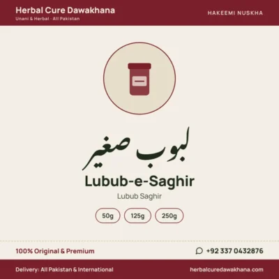 Lubub-e-Saghir (Lubub Saghir)