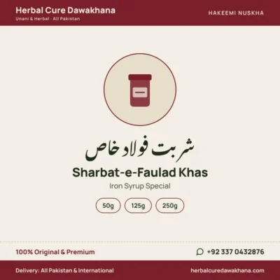 Sharbat-e-Faulad Khas (Iron Syrup Special)
